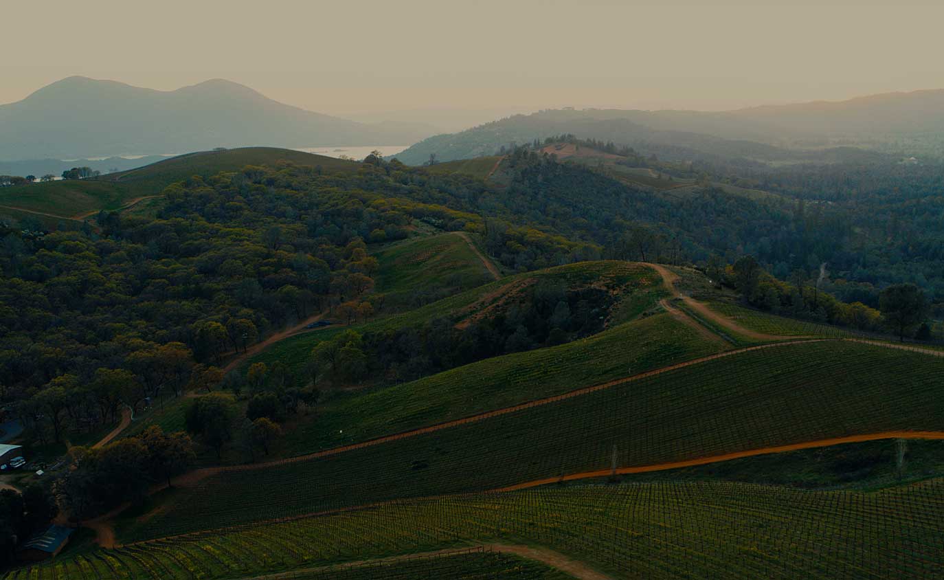 Beautiful vineyard valley at Shannon Ridge