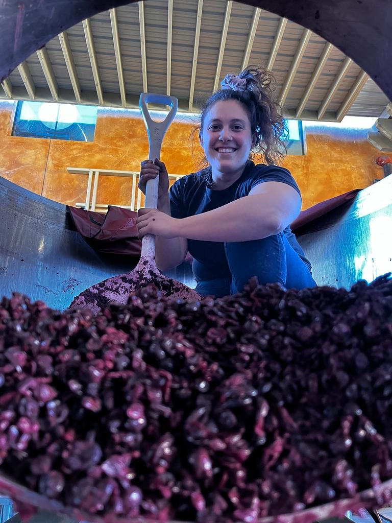 Young woman smiling while working with grapes in a winery cellar, holding a grape harvesting tool.